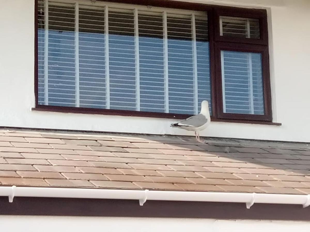 3 Bedroom Deganwy Sea View Beach House Ll31 エクステリア 写真